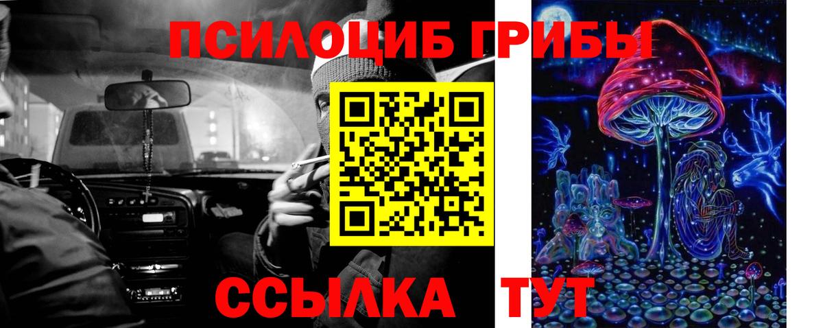 Галлюциногенные грибы мицелий  Вход с VPN  Кинель 